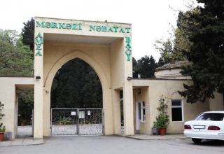 Nəbatat Bağının binası qəzalı vəziyyətə düşüb, işçilər evə buraxılıb