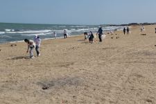 В Баку прошла очередная акция по очистке побережья