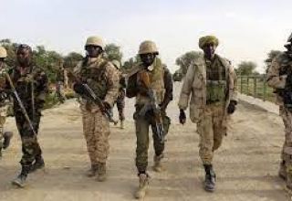 В Нигерии террористы напали на армейскую колонну и убили 30 военнослужащих