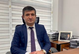 В Азербайджане сформированы новые стандарты и подходы распределения "бланков разрешений"