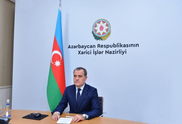 Страны-члены Движения неприсоединения смогли объединиться перед лицом общего врага - глава МИД Азербайджана