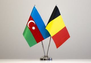 Belgium's participation in Azerbaijan's RES auctions to create new opportunities for co-op – minister