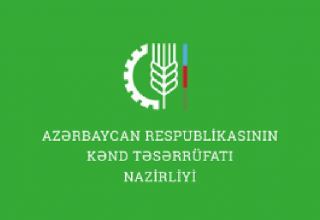 Азербайджанским фермерам будут предоставлены дополнительные субсидии - минсельхоз