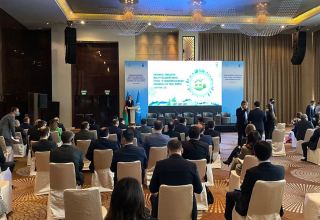 Есть огромный потенциал для финансирования сферы "зеленых технологий" Азербайджана - резидент-представитель ПРООН