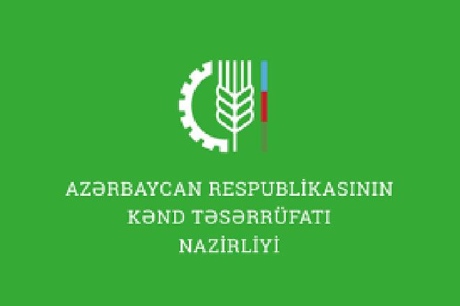 Минсельзхоз Азербайджана о господдержке производства продовольственной пшеницы