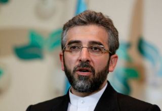 Iran's top nuclear negotiator terms Vienna talks as constructive, progressive