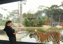 Президент Ильхам Алиев и Первая леди Мехрибан Алиева приняли участие в открытии Бакинского зоологического парка после реконструкции (ФОТО/ВИДЕО)