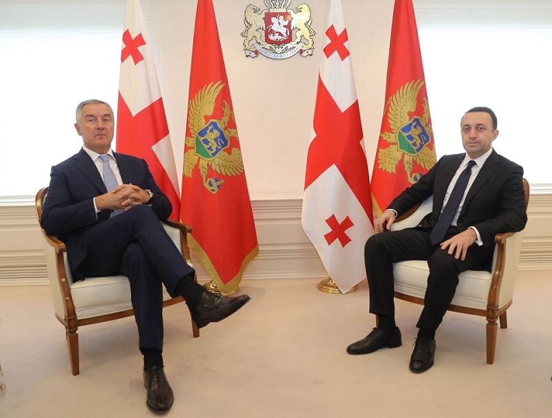 Georgian PM meets Montenegrin President