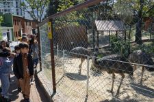 Children of martyrs and from orphanages become first visitors of Baku Zoo (PHOTO)