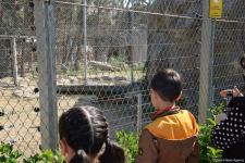 Children of martyrs and from orphanages become first visitors of Baku Zoo (PHOTO)