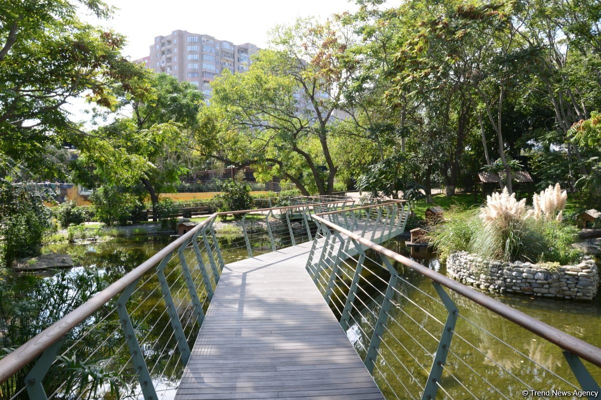 Bakı Zooloji Parkının ilk ziyarətçiləri şəhid övladları və uşaq evlərinin sakinləri olub (FOTO)