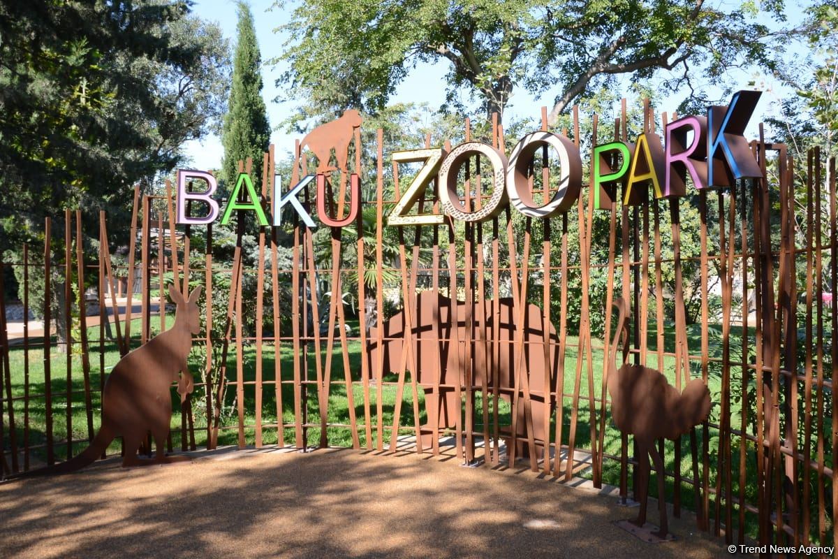 Первыми посетителями Бакинского зоопарка стали дети шехидов и воспитанники детдомов (ФОТО)