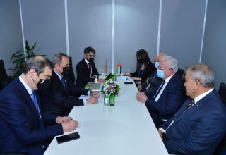Министр иностранных дел Азербайджана встретился с главой МИД Палестины (ФОТО)