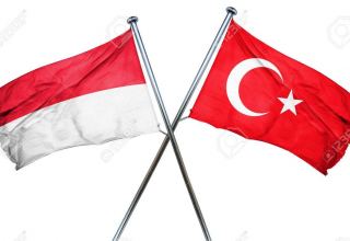 Türkiye ile Endonezya aşı sertifikalarını karşılıklı tanıyacak