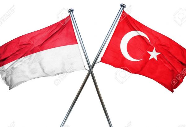 Türkiye ile Endonezya aşı sertifikalarını karşılıklı tanıyacak