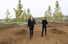 President Ilham Aliyev and First Lady Mehriban Aliyeva plant trees in Central City Park to be built in Fuzuli (PHOTO)
