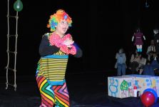 Беременный клоун и выброшенный на улицу пес - два счастливых дня Ульвии Гейдаровой (ВИДЕО, ФОТО)