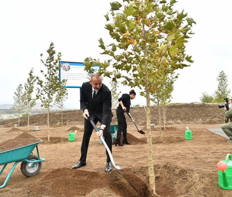 Президент Ильхам Алиев и Первая леди Мехрибан Алиева посадили деревья в Центральном городском парке в Физули (ФОТО)