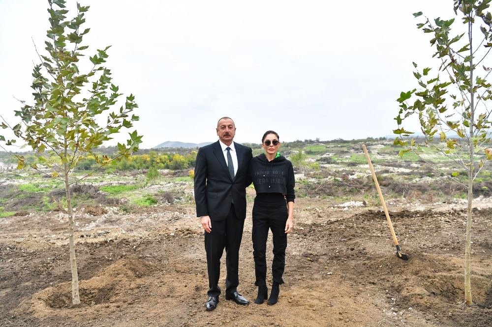 President Ilham Aliyev and First Lady Mehriban Aliyeva plant trees in Central City Park to be built in Fuzuli (PHOTO)