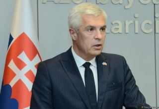 Slovakia interested in deepening relations with Azerbaijan - FM