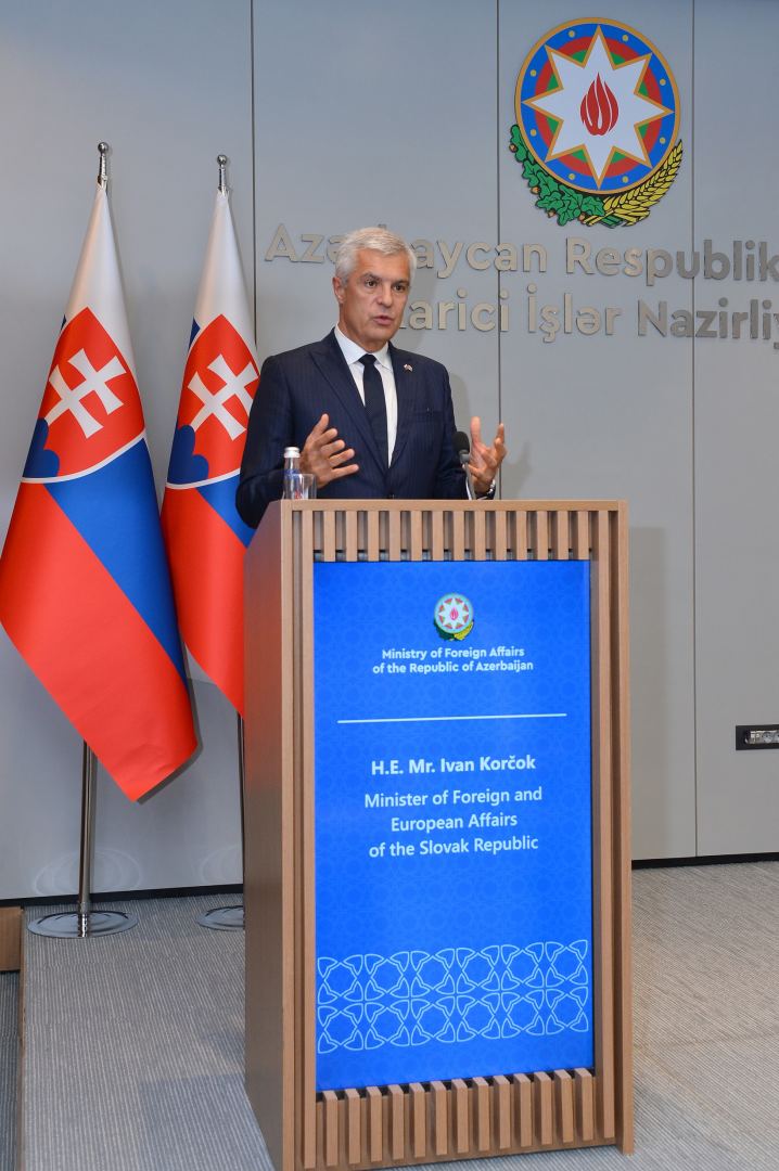 Azerbaijani, Slovak FMs holding expanded meeting (PHOTO)
