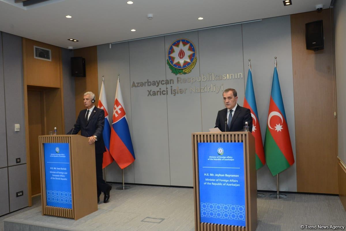 В Баку прошла совместная пресс-конференция глав МИД Азербайджана и Словакии (ФОТО/ВИДЕО)