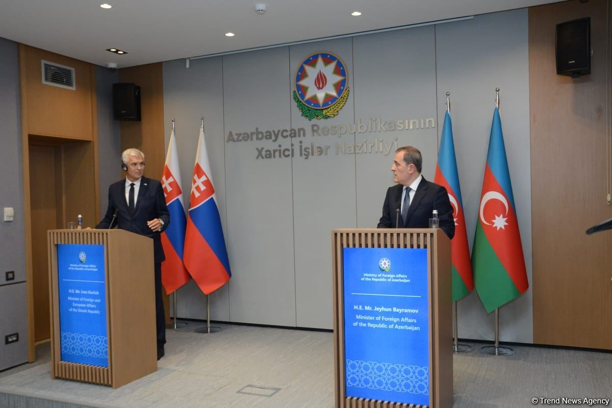 В Баку прошла совместная пресс-конференция глав МИД Азербайджана и Словакии (ФОТО/ВИДЕО)