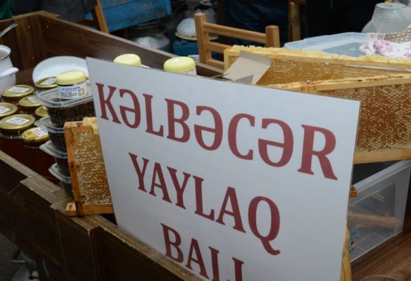 На пчеловодческую выставку в Баку доставлен мед из Кяльбаджара и Лачина (ФОТО)