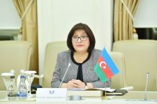 Croatia shows great interest in deepening ties with Azerbaijan - FM (PHOTOS)