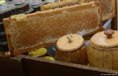 На пчеловодческую выставку в Баку доставлен мед из Кяльбаджара и Лачина (ФОТО)