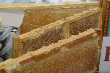 Honey from Azerbaijan's liberated Kalbajar, Lachin delivered to Baku fair (PHOTO)