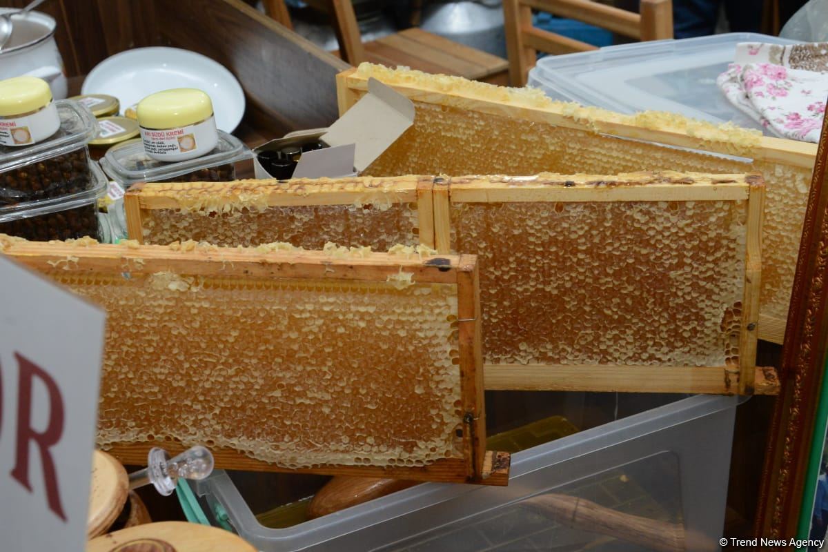 Honey from Azerbaijan's liberated Kalbajar, Lachin delivered to Baku fair (PHOTO)