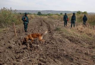 В ГПС Азербайджана назвали количество мин и боеприпасов, обнаруженных на освобожденных приграничных территориях (ФОТО)