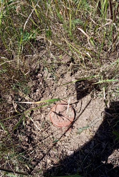 Azerbaijan reveals number of mines, munitions found on its liberated lands (PHOTO)