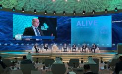 Renewable energy dev't envisioned in Azerbaijan's national priorities - minister (PHOTOS/VIDEO)