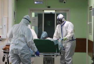 В России за сутки госпитализировали 12 226 человек с коронавирусом