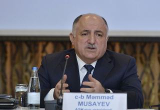 Azerbaijan reveals share of private sector in local entrepreneurship