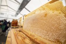 Липовый мед составляет 1/3 всей продукции на пчеловодческой ярмарке в Баку (ФОТО)