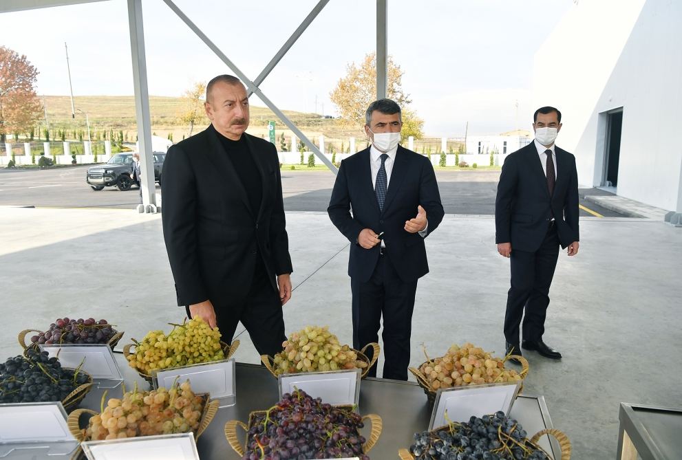 Президент Ильхам Алиев и Первая леди Мехрибан Алиева приняли участие в открытии Шамахинского центра по выращиванию саженцев винограда (ФОТО/ВИДЕО)