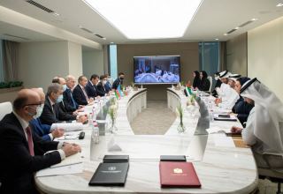 Азербайджан и ОАЭ определили пути расширения деловых отношений (ФОТО)