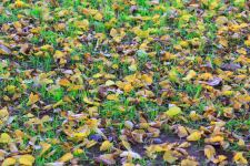 Золотая осень в Шахбулаге! Красота хрустального родника и кристального воздуха (ВИДЕО, ФОТО)