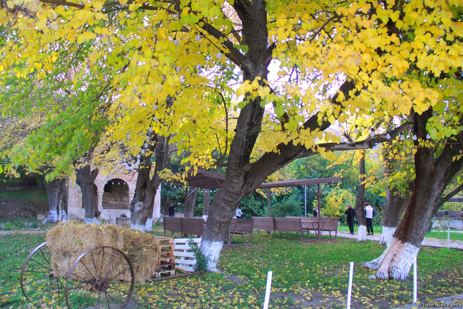 Золотая осень в Шахбулаге! Красота хрустального родника и кристального воздуха (ВИДЕО, ФОТО)