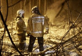 На борту разбившегося в Иркутской области Ан-12 было девять человек