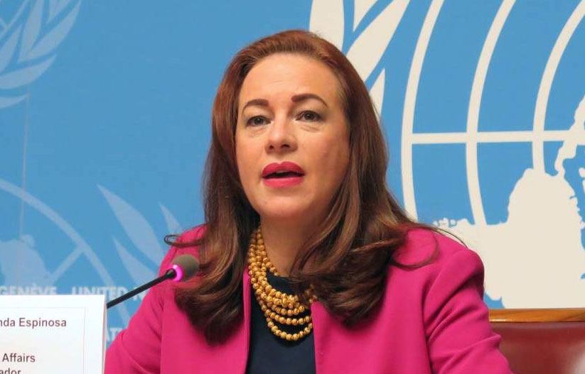 Экс-председатель Генассамблеи ООН призвала до 2050 г. сократить наносимый экологии ущерб