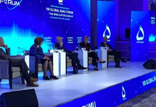 На VIII Глобальном Бакинском форуме обсуждается тема "Будущее ЕС на глобальной арене" (ФОТО)