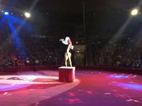 Опасные трюки и захватывающие полеты под куполом цирка - "Арена смелости" в Баку (ФОТО)