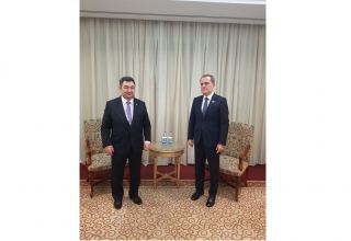 Ceyhun Bayramov Beynəlxalq Türk Akademiyasının prezidenti Darxan Kıdırəli ilə görüşüb