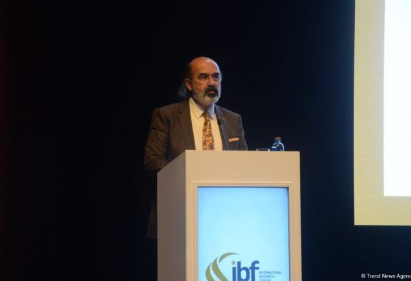 Турция заинтересована в объединении возможностей с Азербайджаном в сфере сельского хозяйства – президент IBF