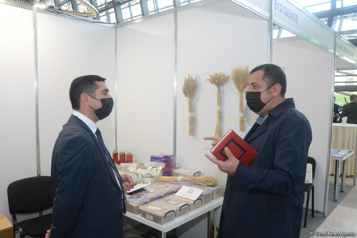 Продукция Хачмаза представлена на Международном бизнес-форуме (ФОТО)