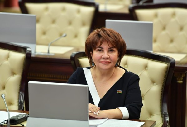 Avropa Parlamenti özünü Ermənistanın lobbiçisi kimi aparır - Afət Həsənova
